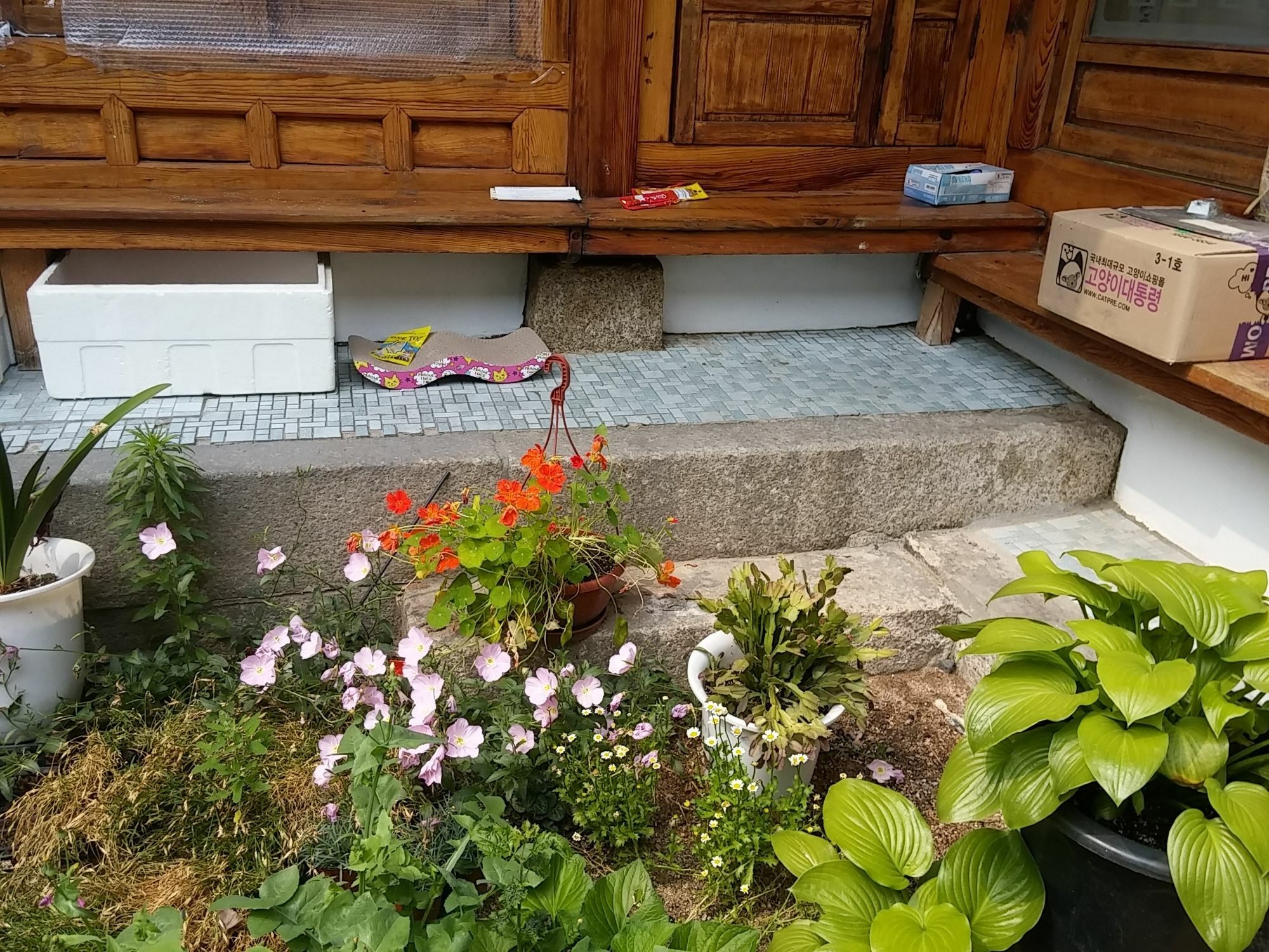 Nuri Hanok Guesthouse سيول المظهر الخارجي الصورة